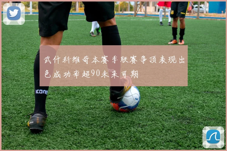 武什科维奇本赛季联赛争顶表现出色成功率超90未来可期