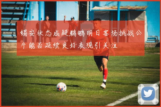 锡安状态成疑鹈鹕明日客场挑战公牛能否延续良好表现引关注