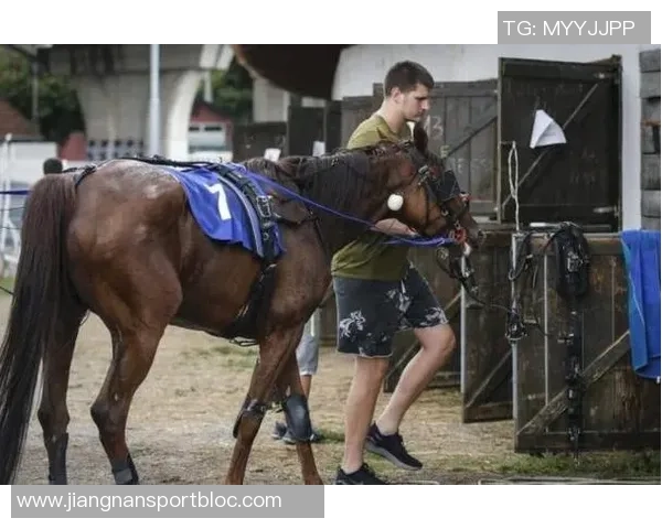 约基奇赞弗拉格表现成熟似老将透露其在重要比赛中的经验与表现